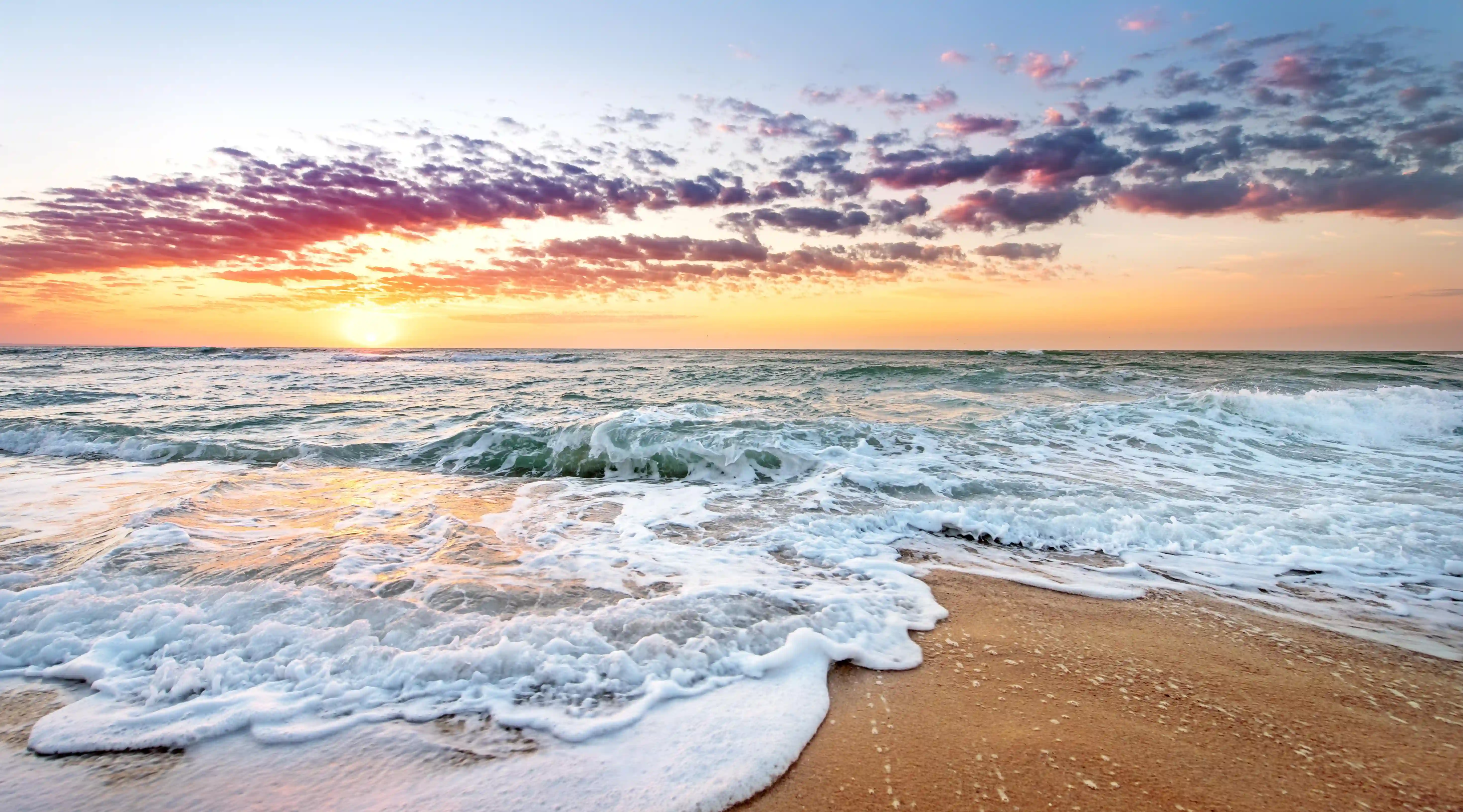 棗的神奇療效與禁忌：你一定不知道的五個真相