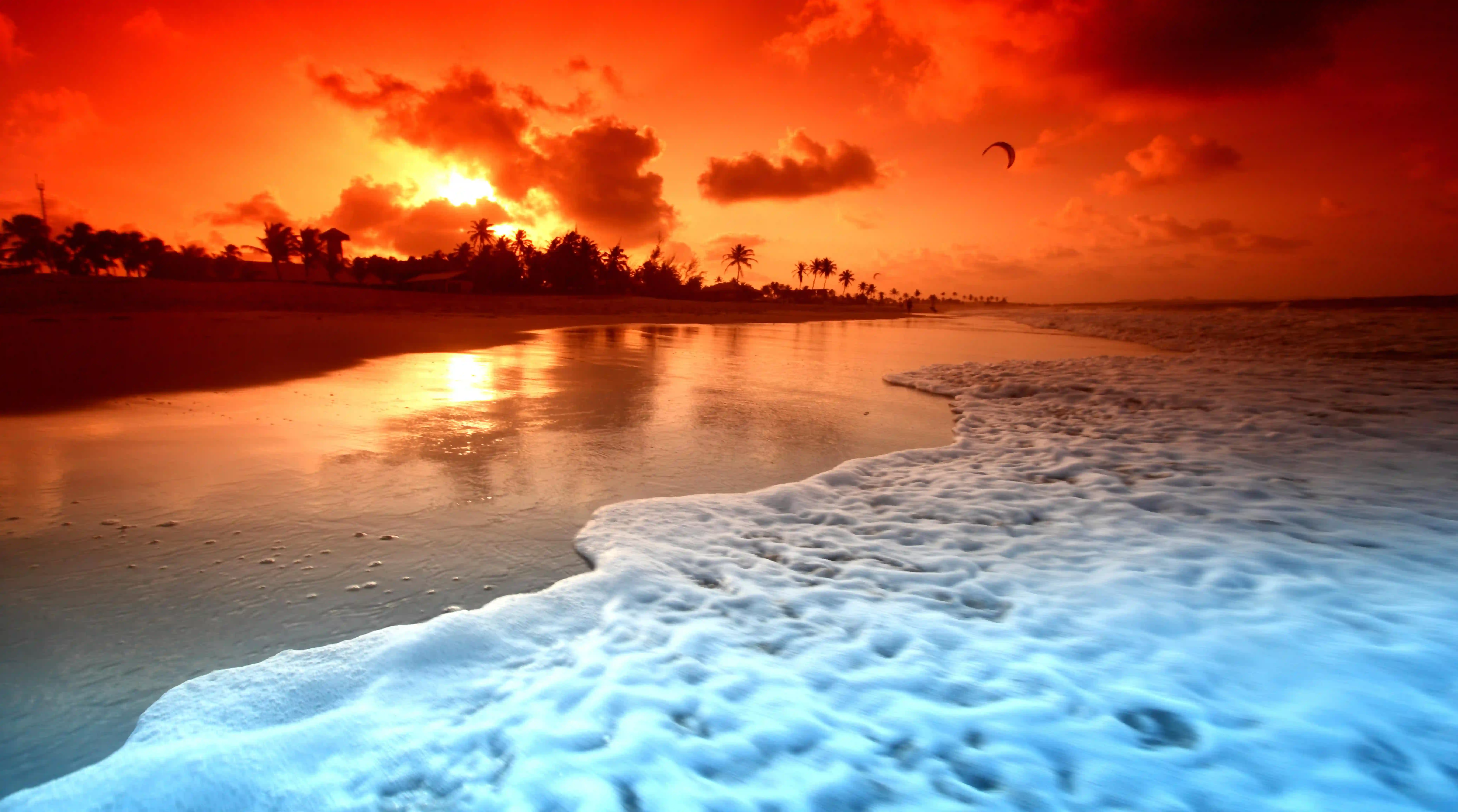 驚艷味蕾的秘訣：如何完美烹製爆炒牛鞭，還有這五大功效你絕對想知道！