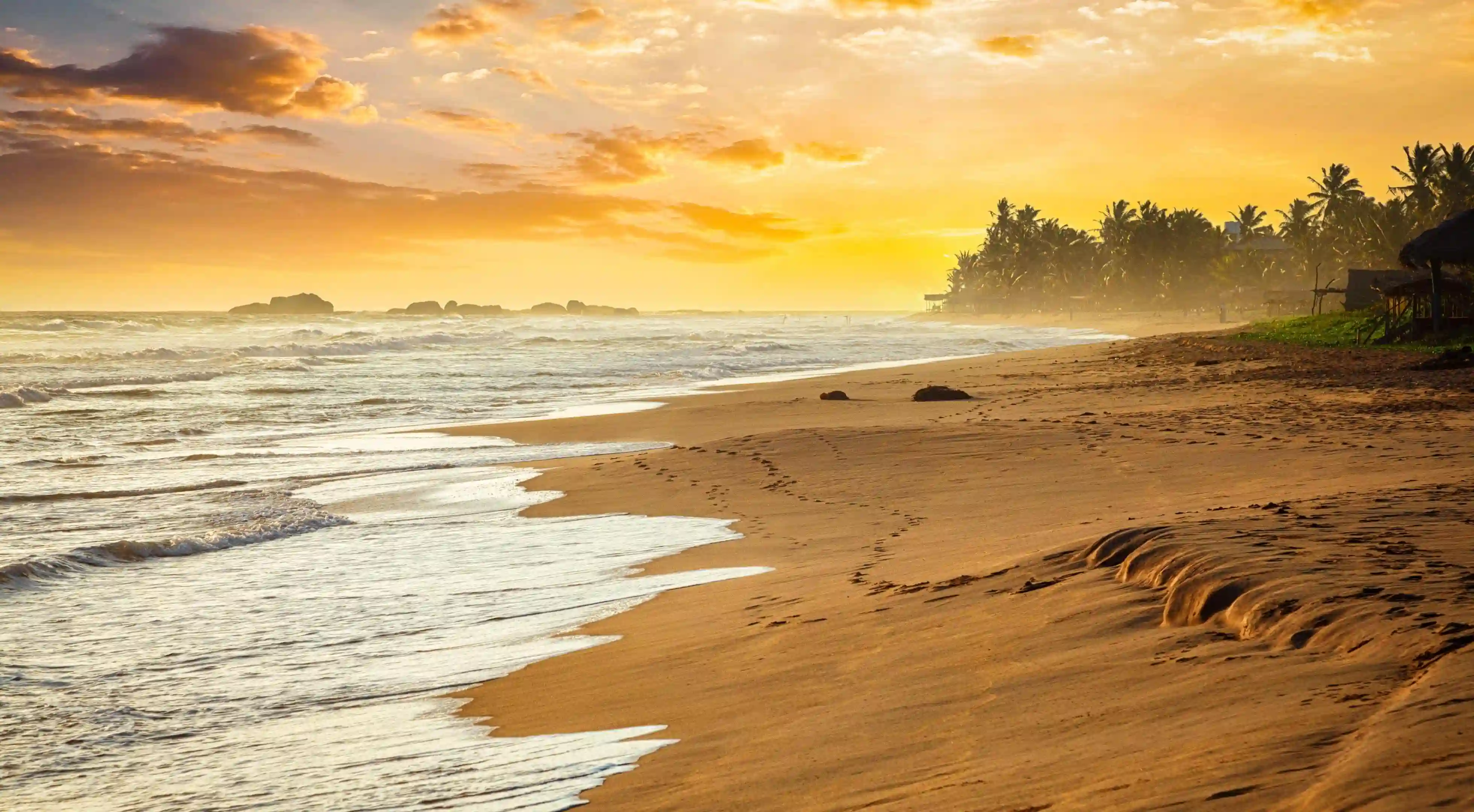 選擇完美青椒的三大秘訣:讓你的餐桌美味翻倍!