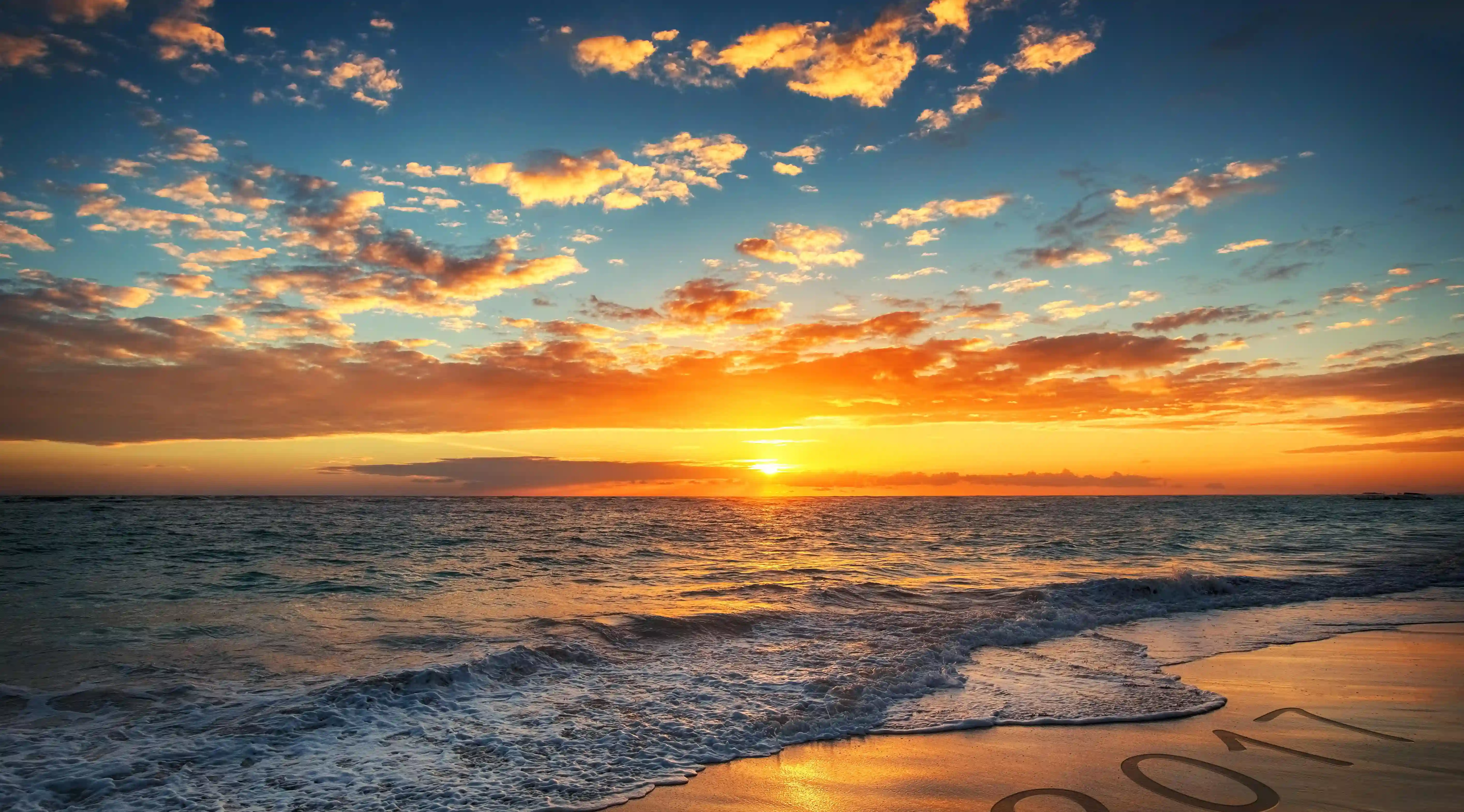 揭開鴿子湯的神秘面紗：五大功效與獨特做法