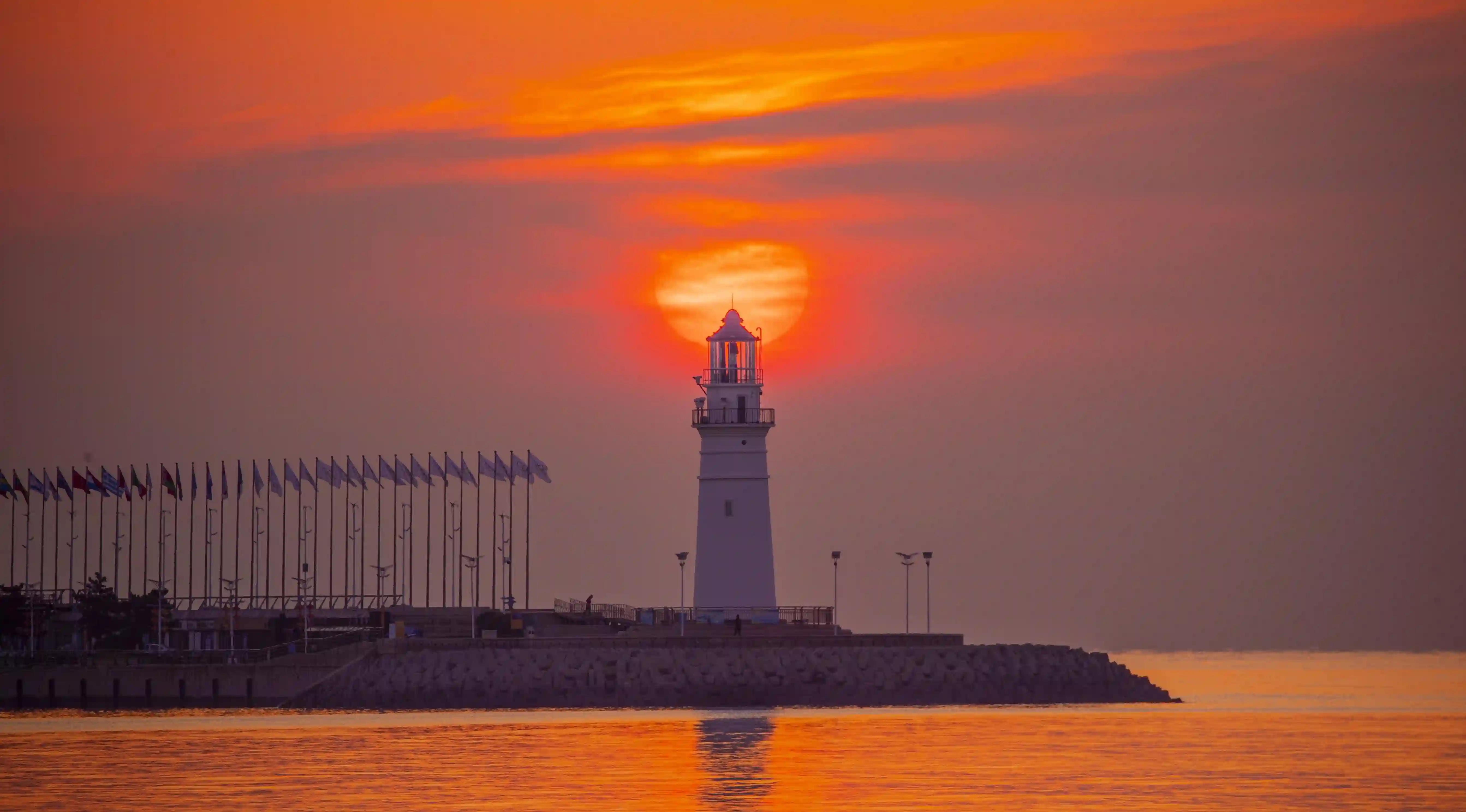 破除迷思:為什麼“吃啥補啥”並不等於健康?揭開動物內臟的真相