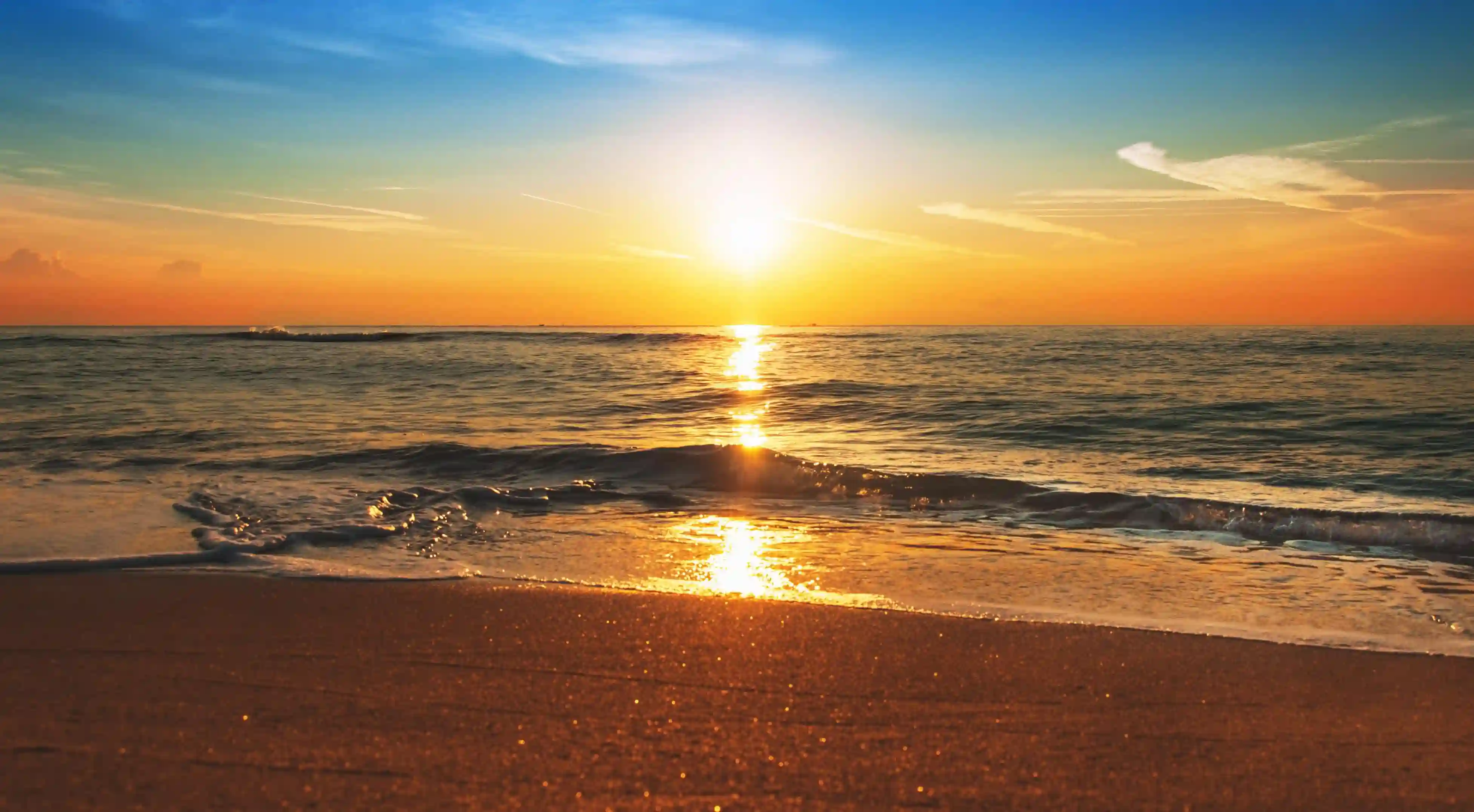 如何有效管理肺結核？揭開飲食與生活習慣的秘密