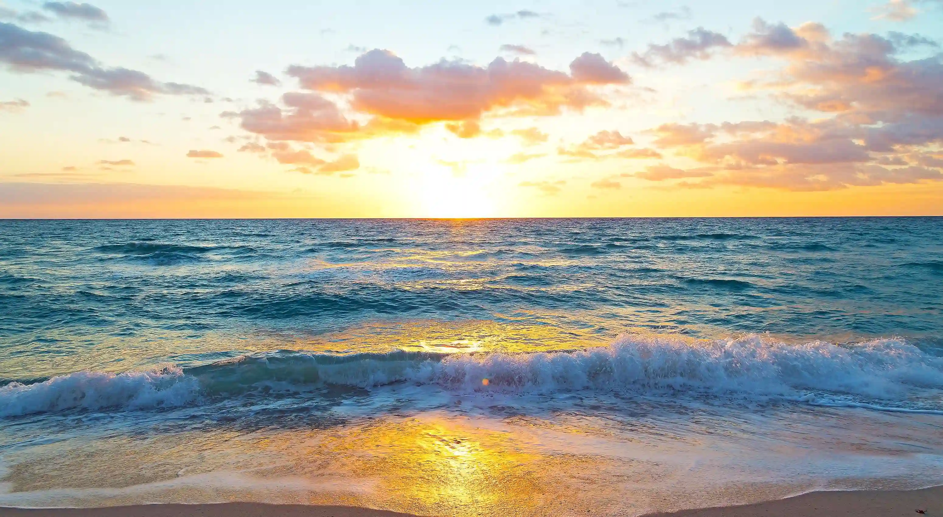 生薑的神奇功效與過量食用的潛在危害，你知道多少？