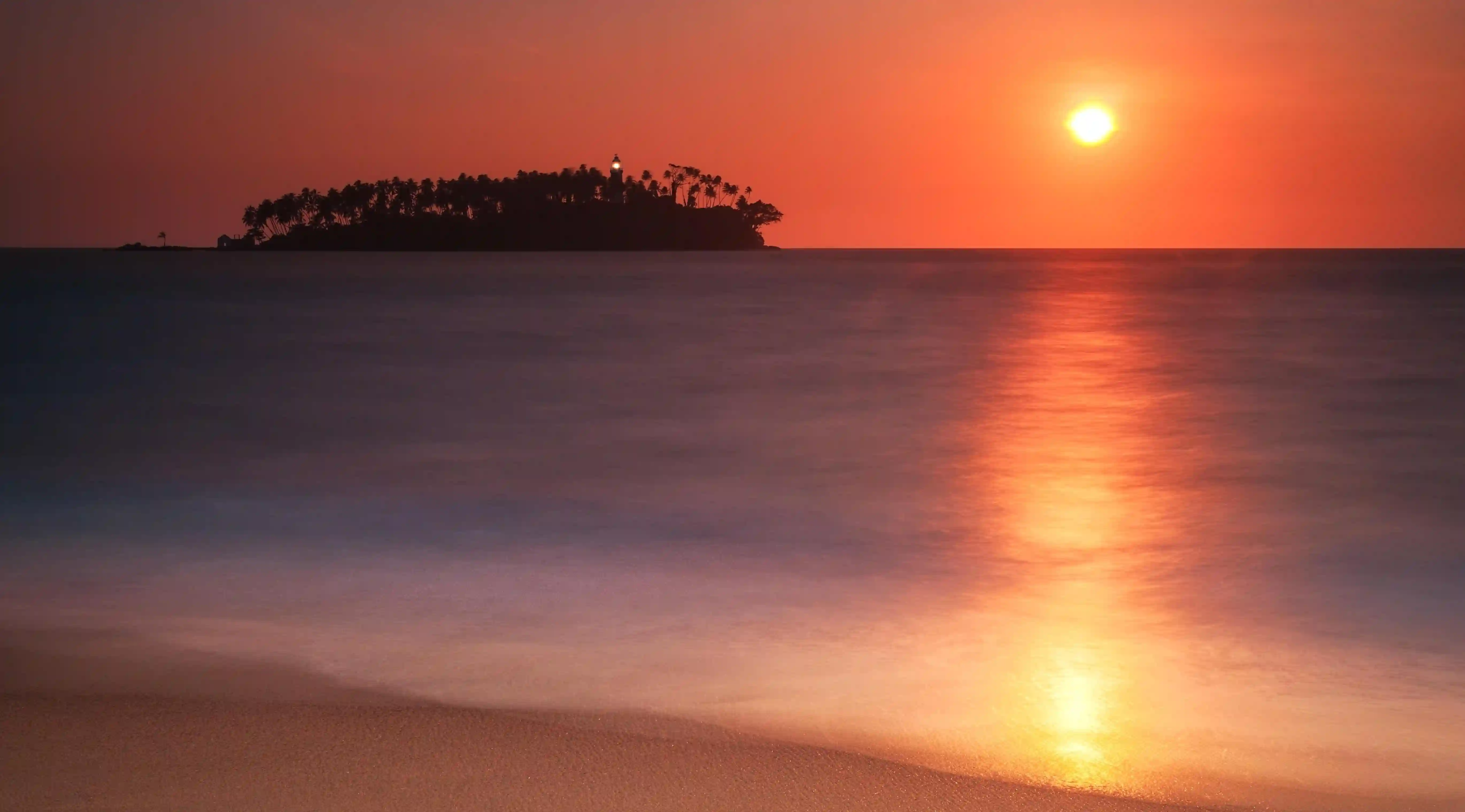 揭開黑豆的神秘面紗：你不知道的八大功效與七大禁忌