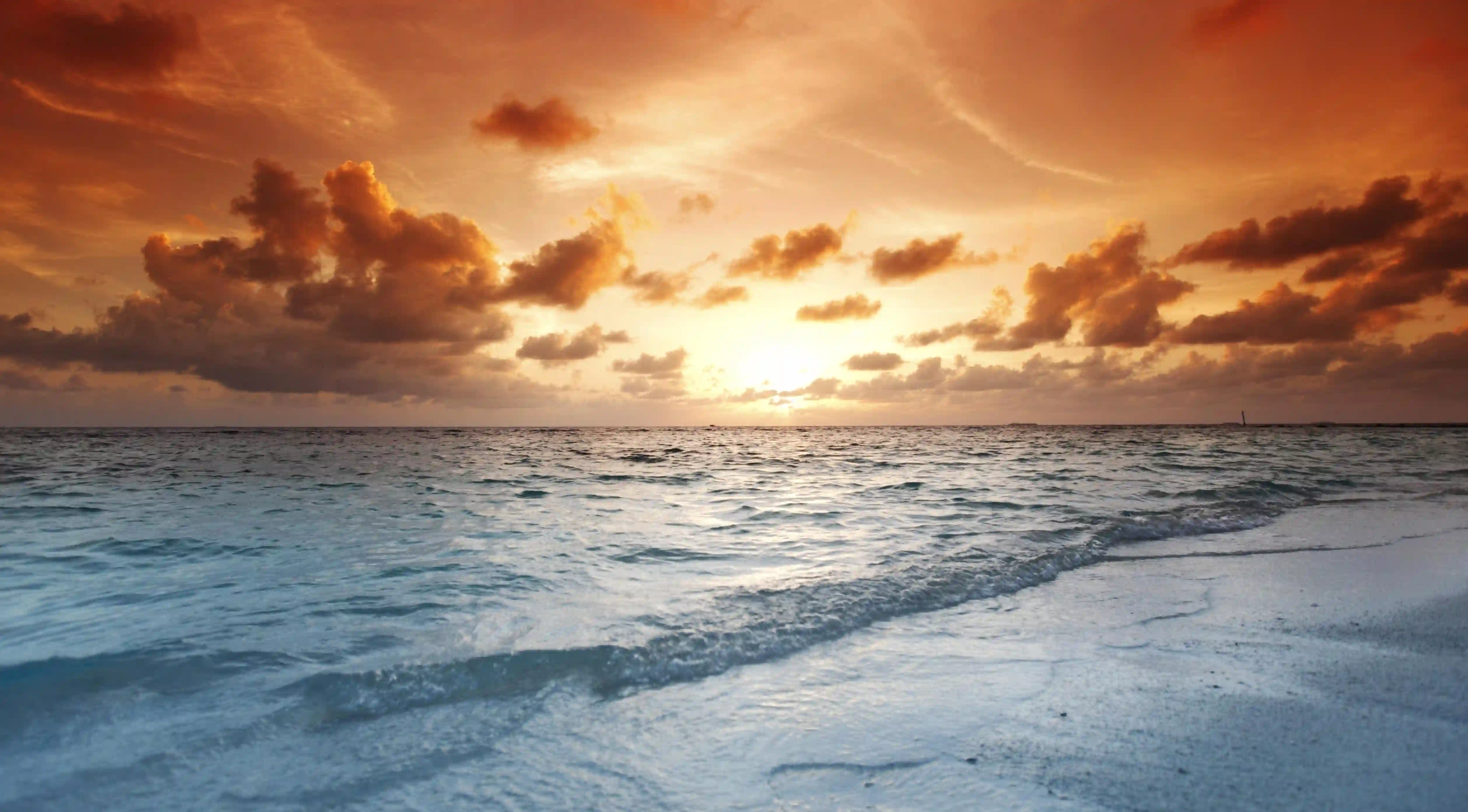 揭開生薑紅糖湯的神秘面紗：如何快速緩解感冒症狀？