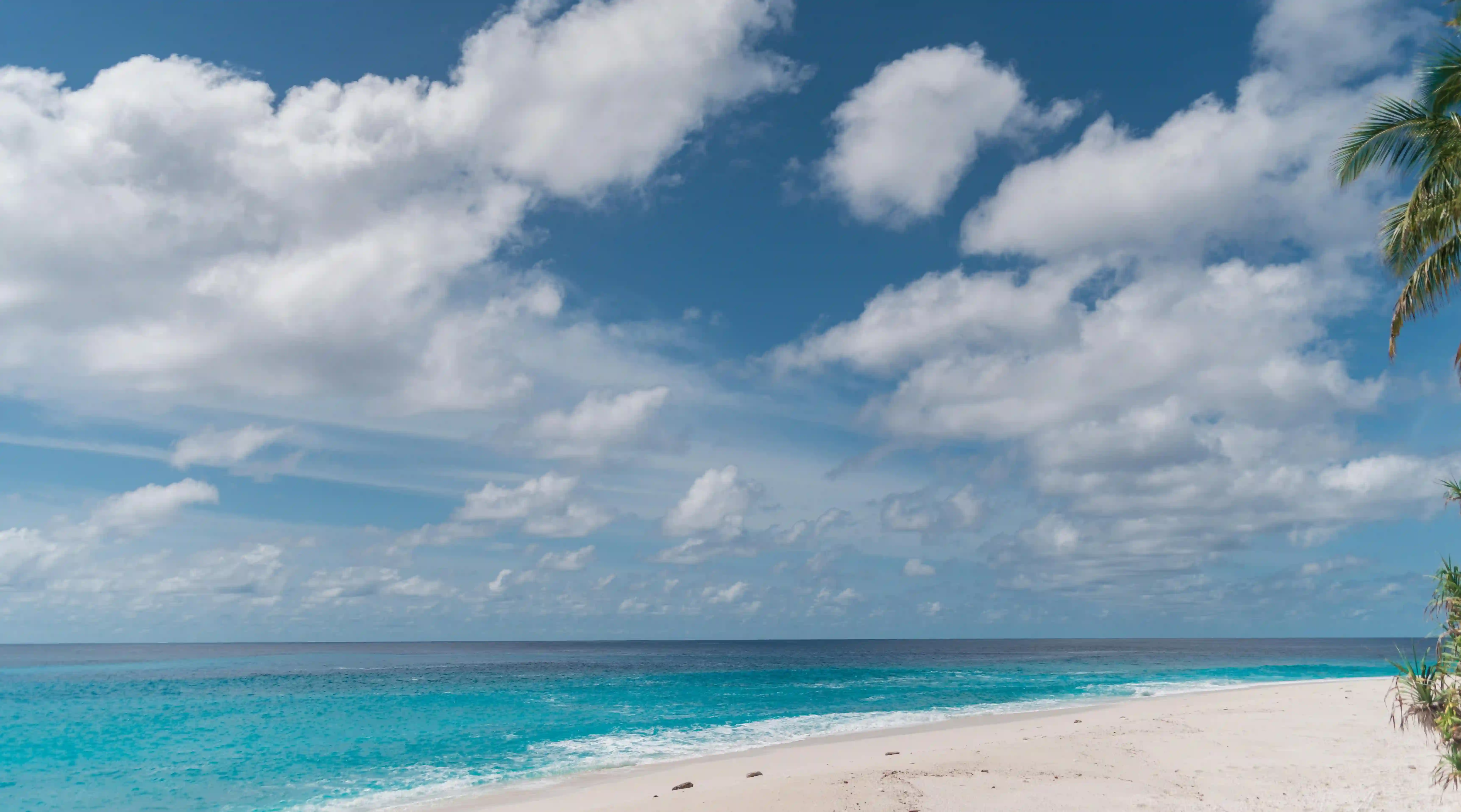 魚湯新手必看:五個技巧讓你的魚湯鮮美無腥味