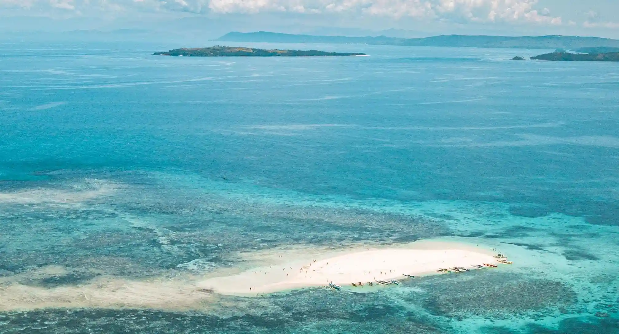 你真的會焯水嗎?揭開蔬菜焯水的四大秘密,讓你的菜色更鮮艷、營養更豐富!