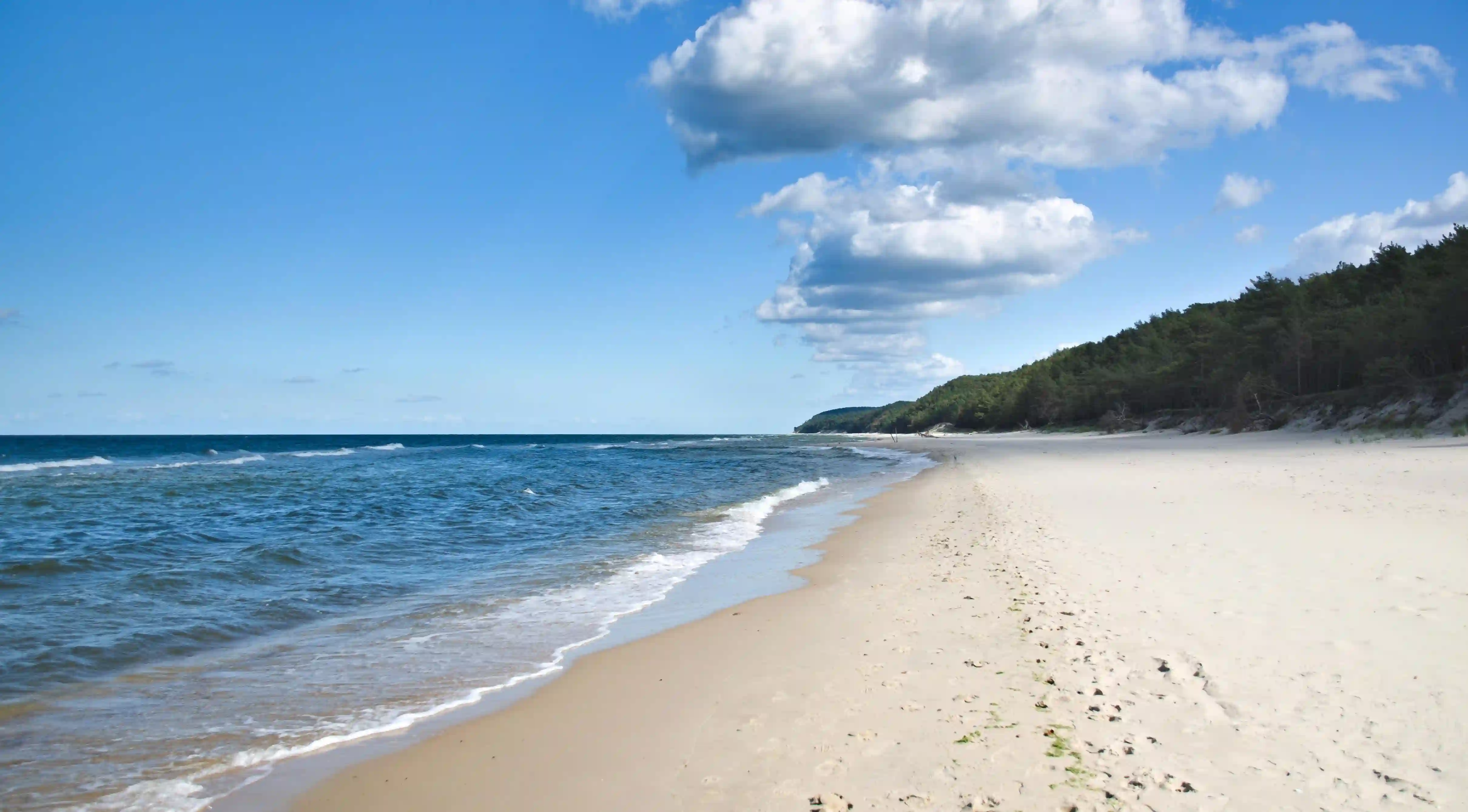 揭秘！這七類人群竟然不能吃薑，你是否也在其中？