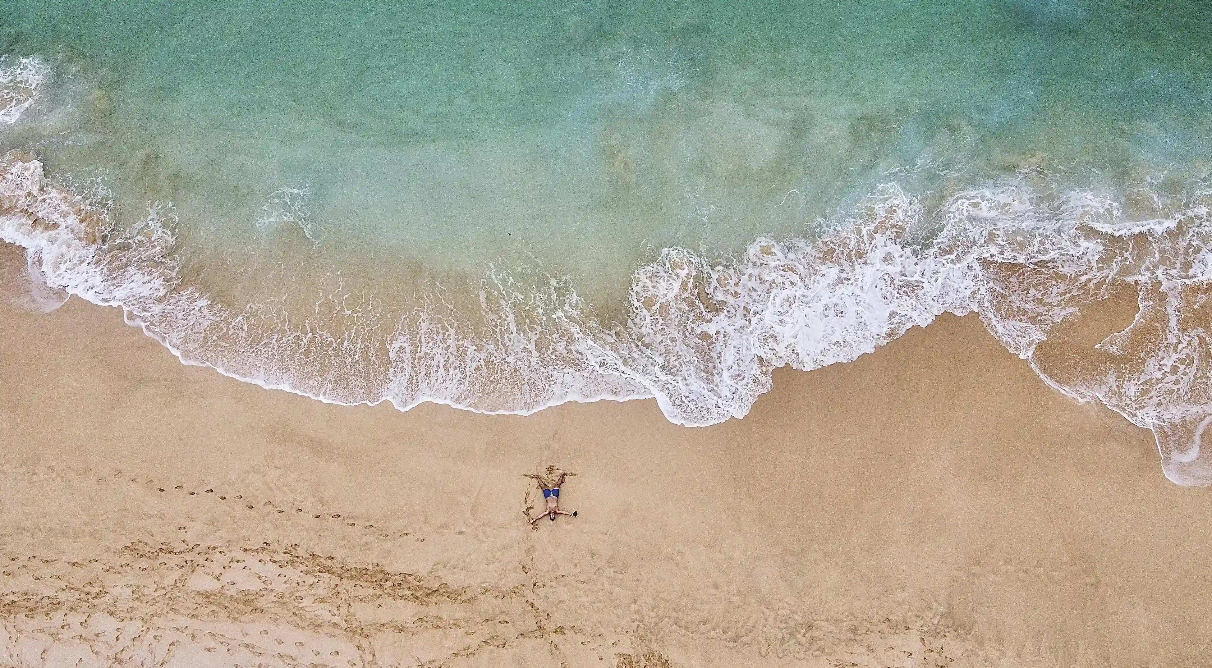 春末排毒的秘密：揭開六種食物的神奇力量！
