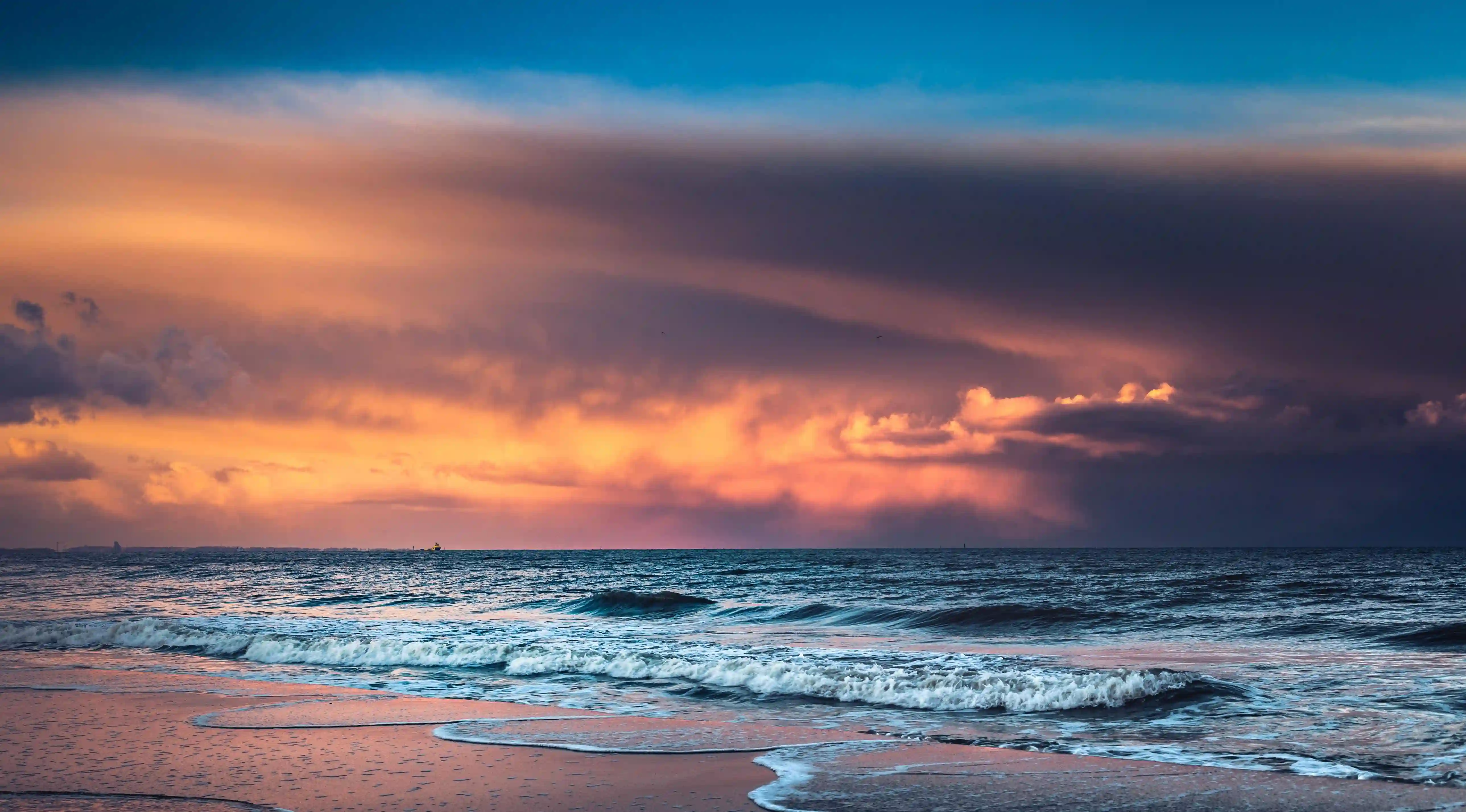 夏季瘦身必備！這7種食材讓你輕鬆享受美味與健康