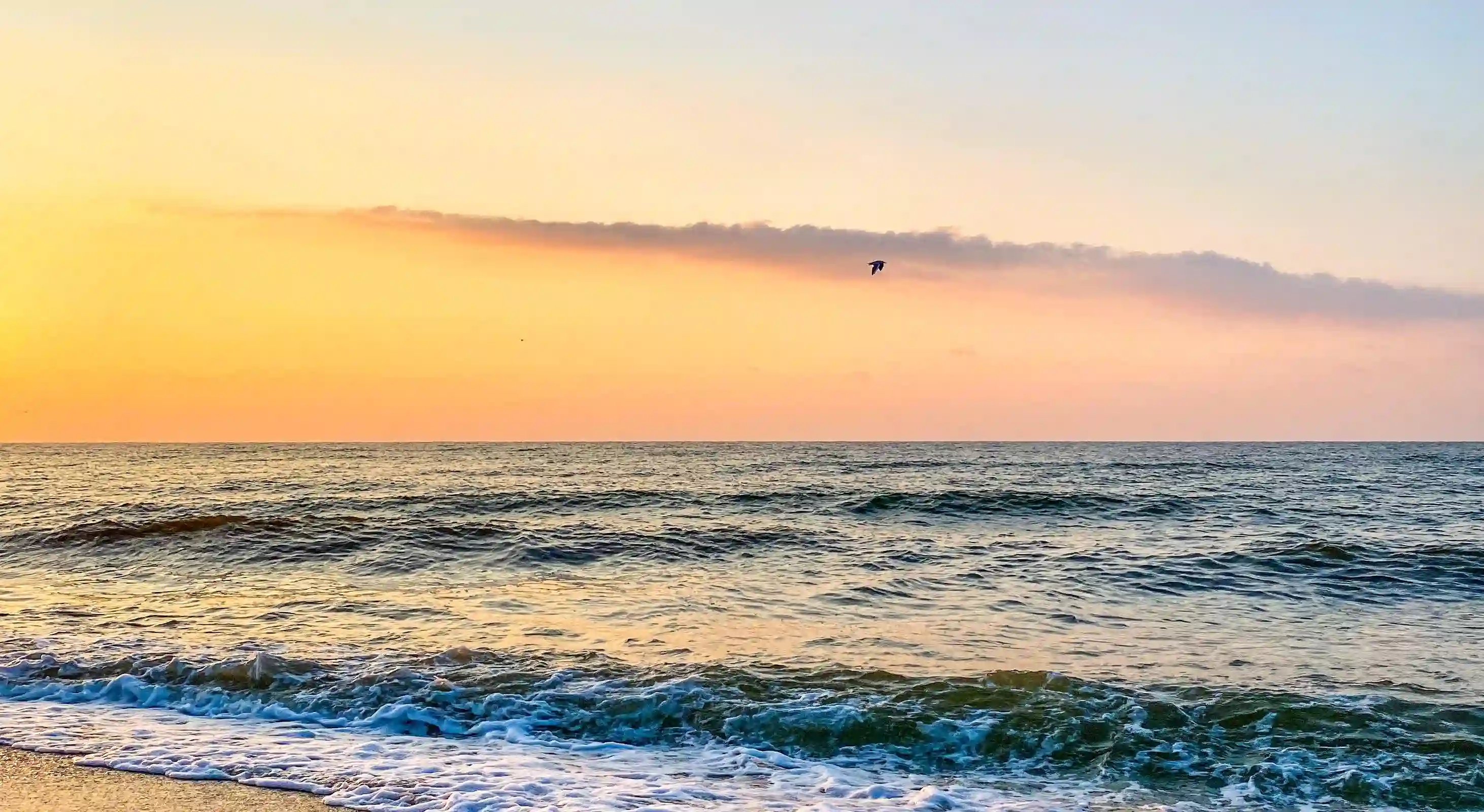 五個關鍵飲食習慣，讓你擁有健康的生活方式