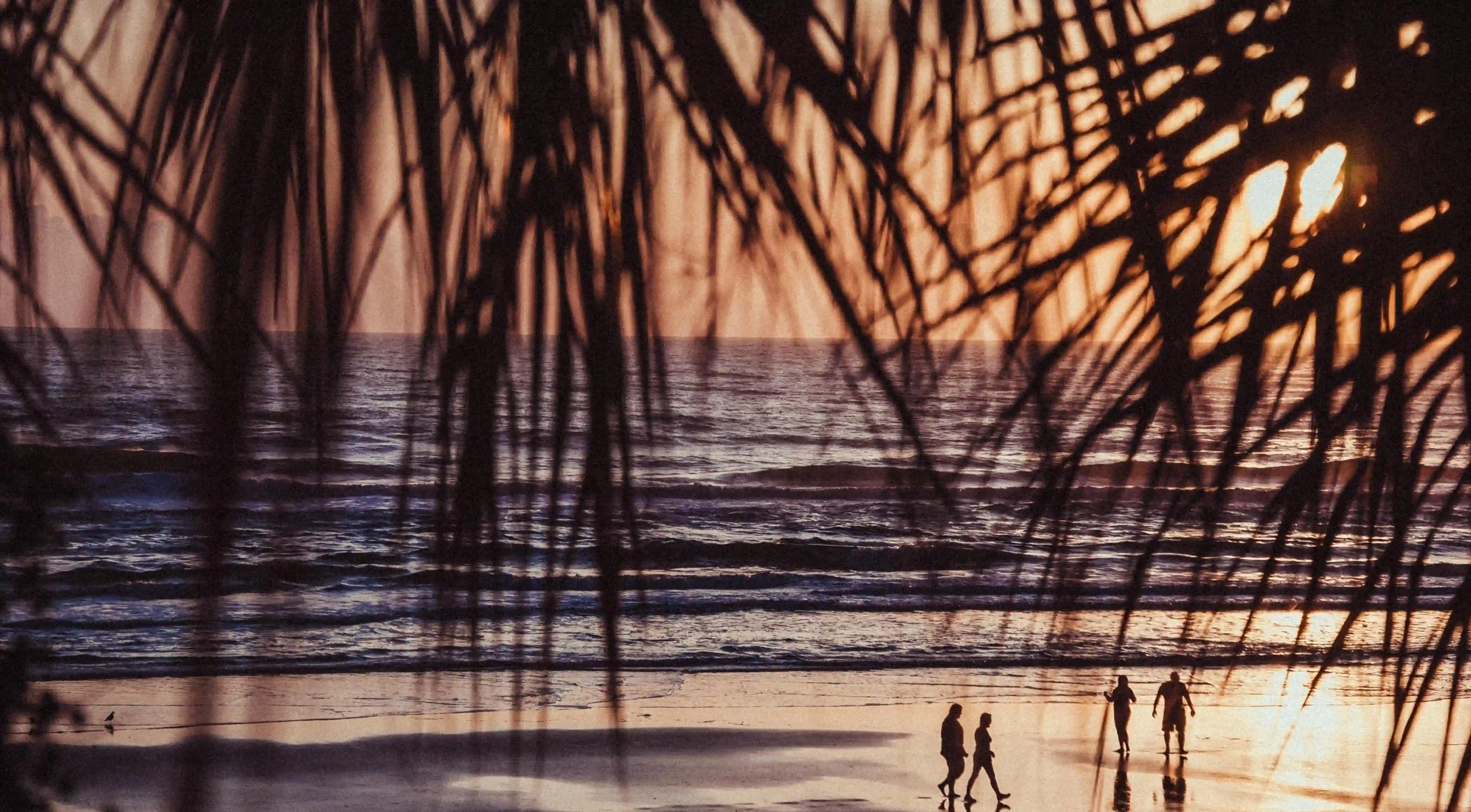 發現蝦滑的秘密:五個關鍵步驟讓你的自製蝦滑更鮮嫩有彈性