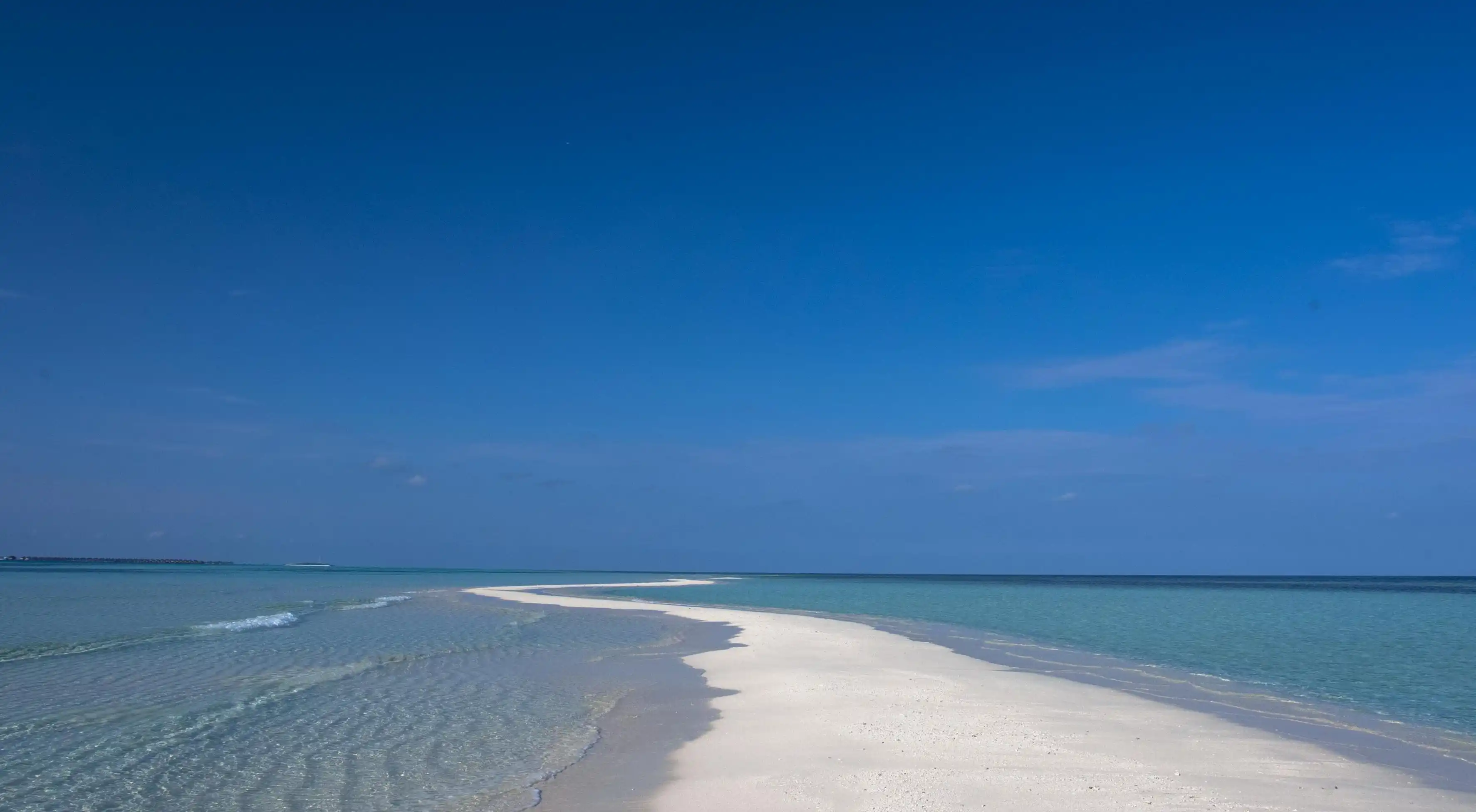 揭開雞蛋料理的秘密:避免這11個常見錯誤,讓你的雞蛋更加美味