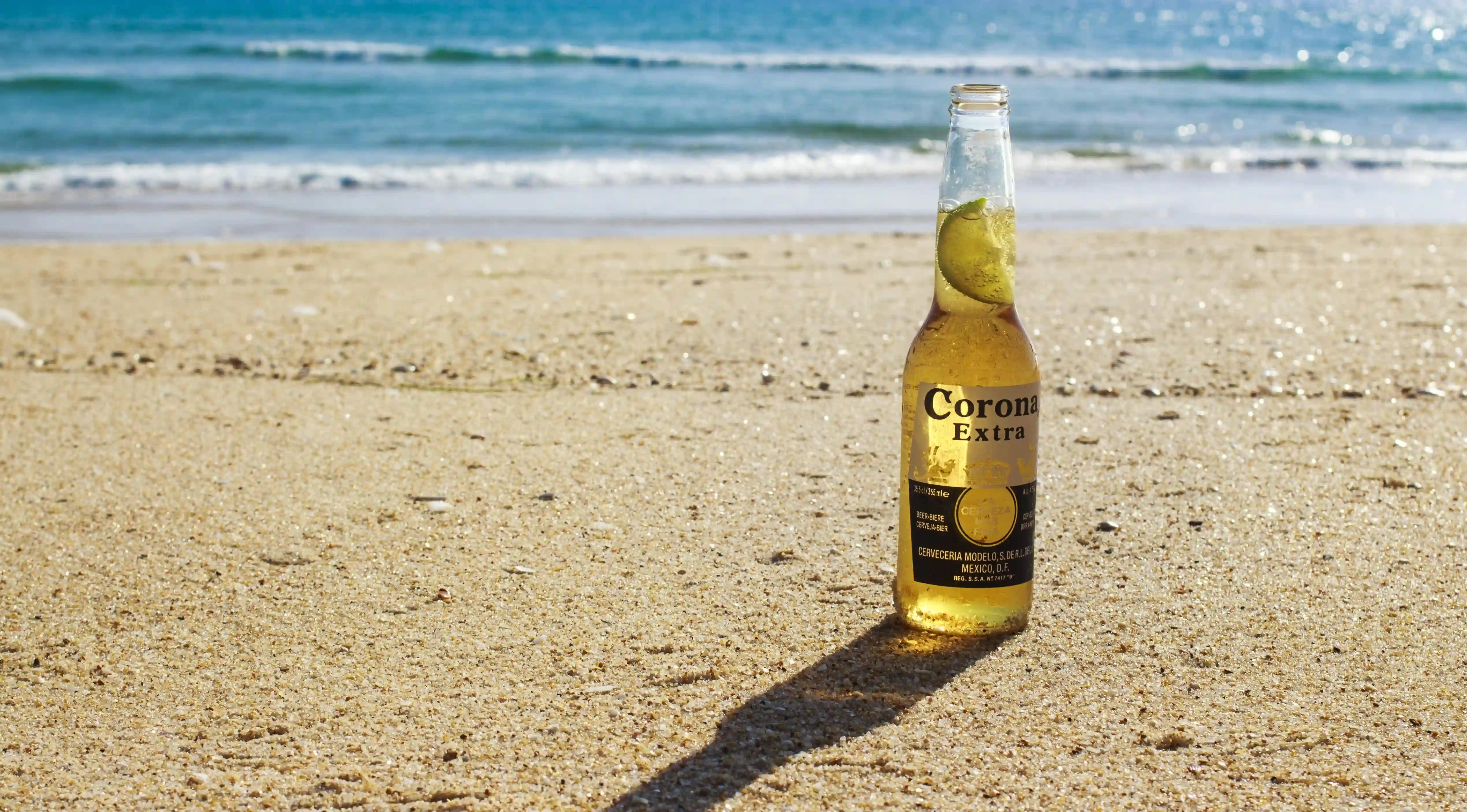 揭開黴變甘蔗的危機：你不知道的健康危害與防範措施